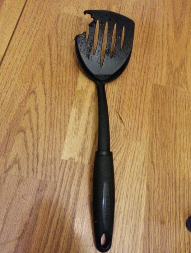 plastic spatula with a chunk missing after being run through the dishwasher