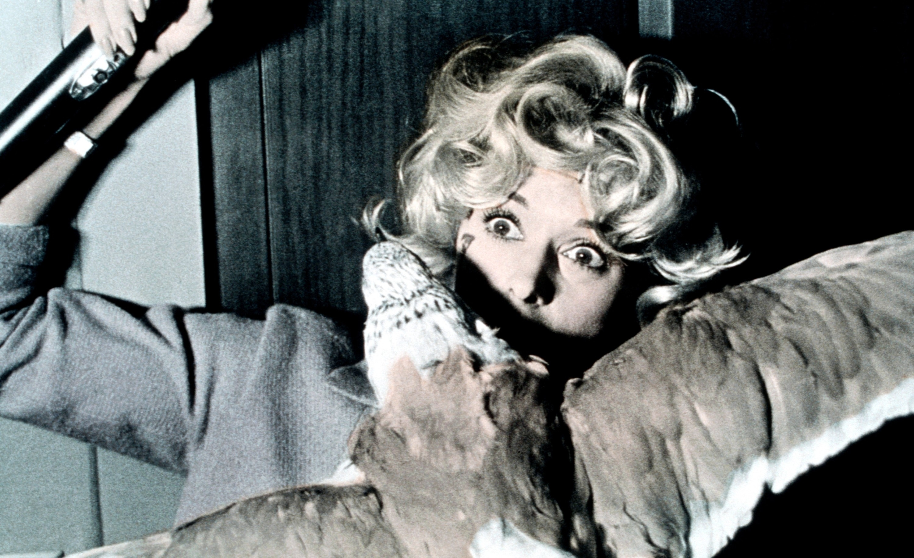 birds attacking her in the film