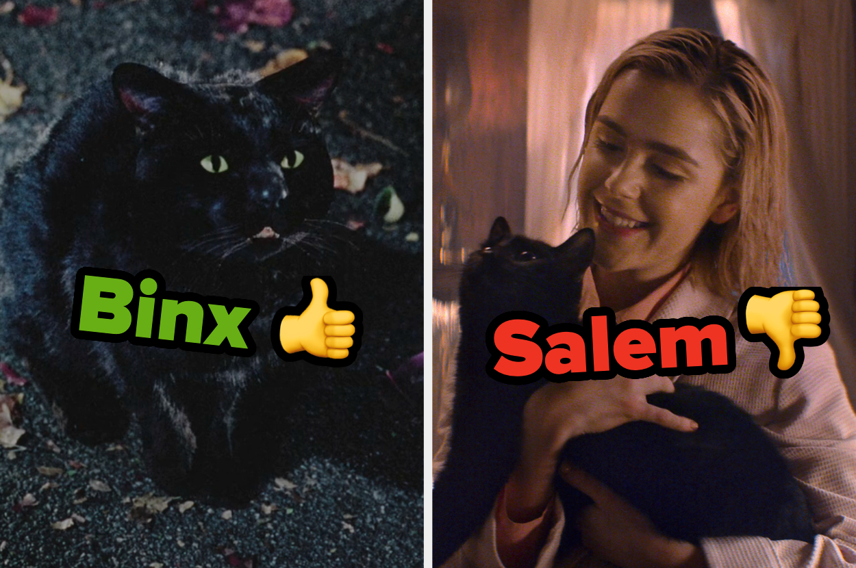 Do You Have The Same Black Cat Name Opinions As The Rest Of The do-you-have-the-same-black-cat-name-opinions-as-the-rest-of-the