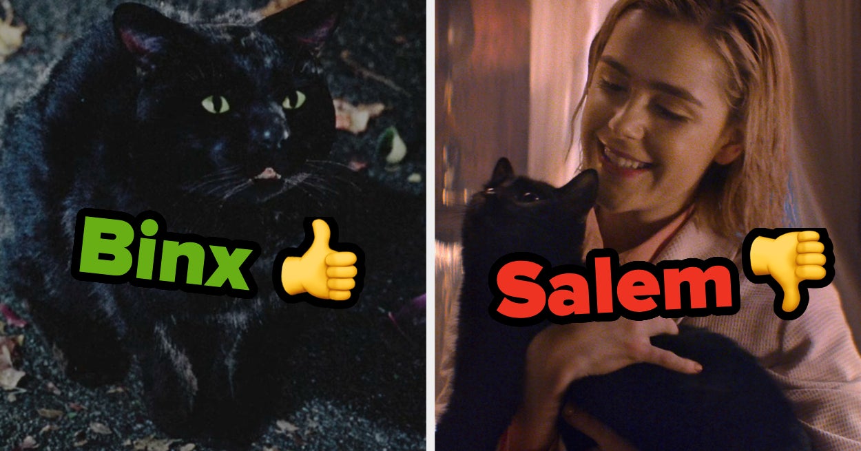 Black Cat Names Opinions Poll Quiz