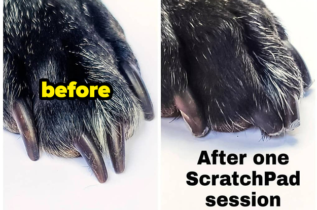 before photo of a dog's overgrown nails next to a photo of the same dog's nails looking shorter and neater after using a scratchpad
