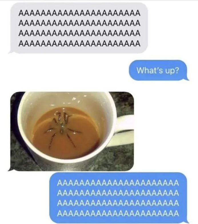 large spider in a cup of coffee