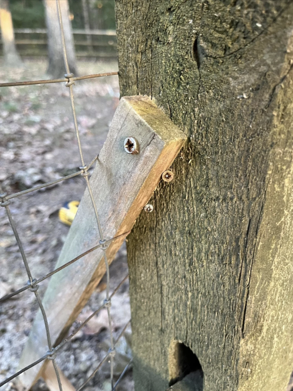 a wood plank in between the fence as a fix