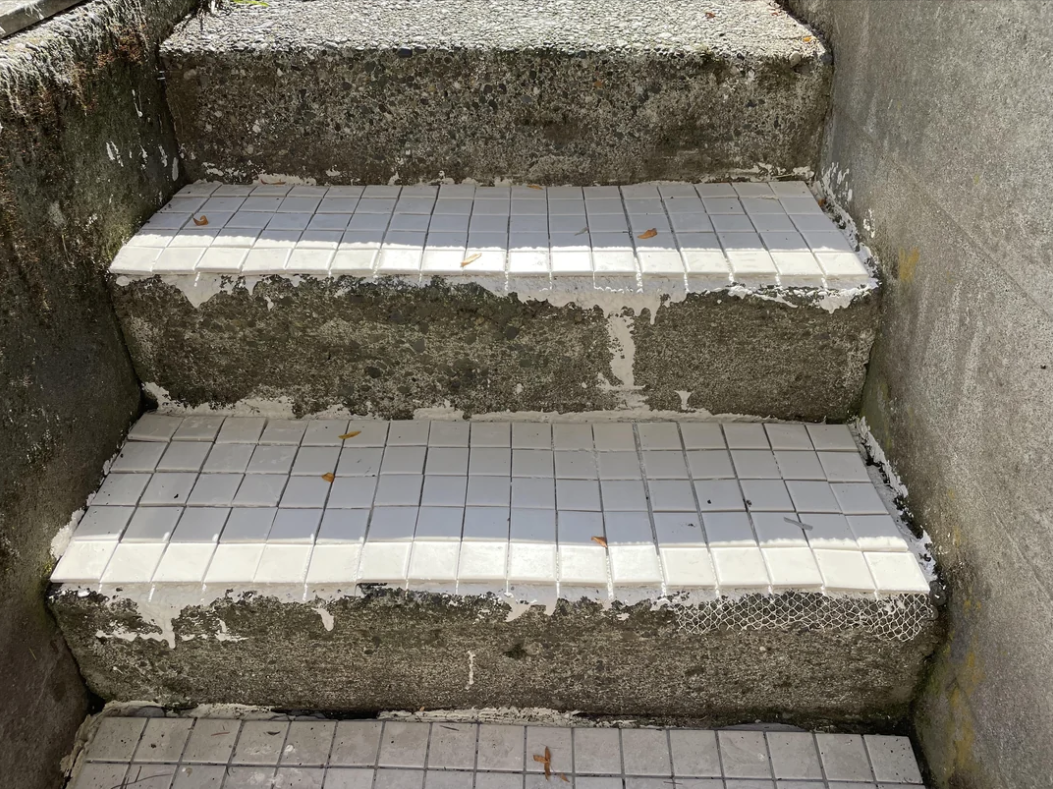 top of the stairs are tiled and the rest is exposing the cement