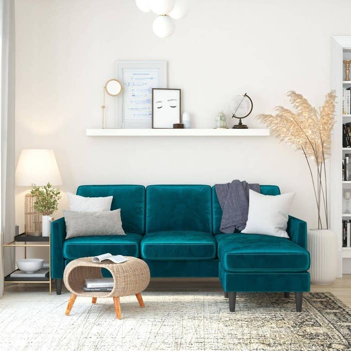 the teal velvet couch