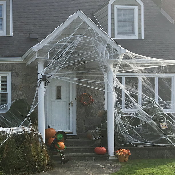 a house with the spider web on it