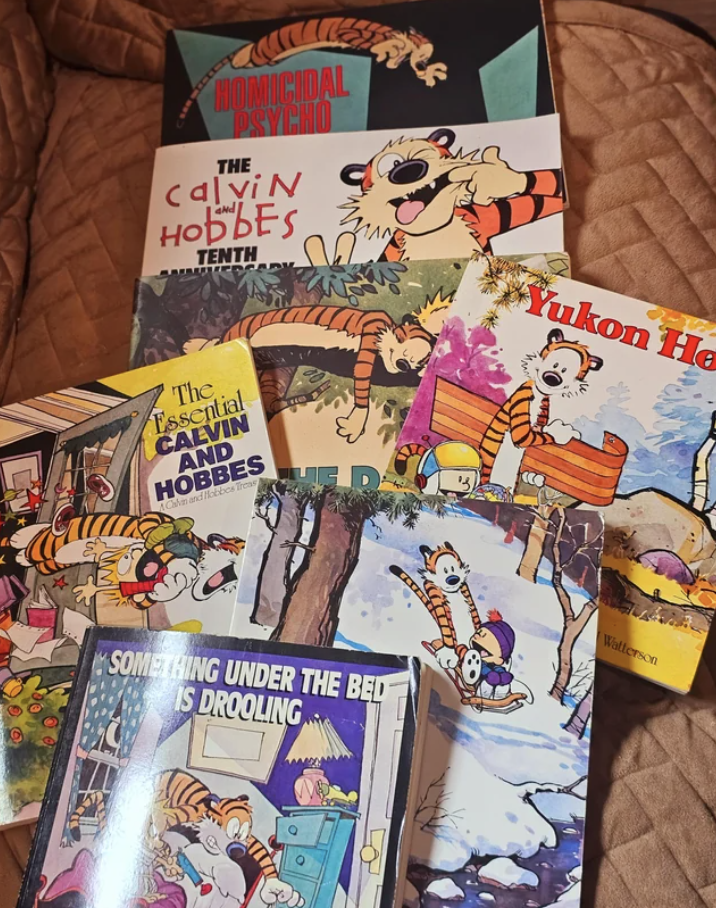 Calvin and Hobbes books