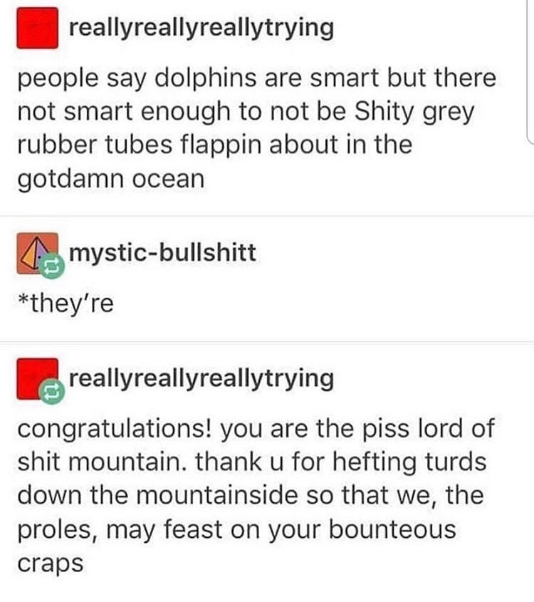 "People say dolphins are smart but there not smart enough to not be Shty grey rubber tubes flappin about in the gotdamn ocean"; "you are the piss lord of shit mountain … hefting turds down the mountainside"