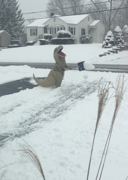 A kid in a dinosaur costume shoveling the front lawn
