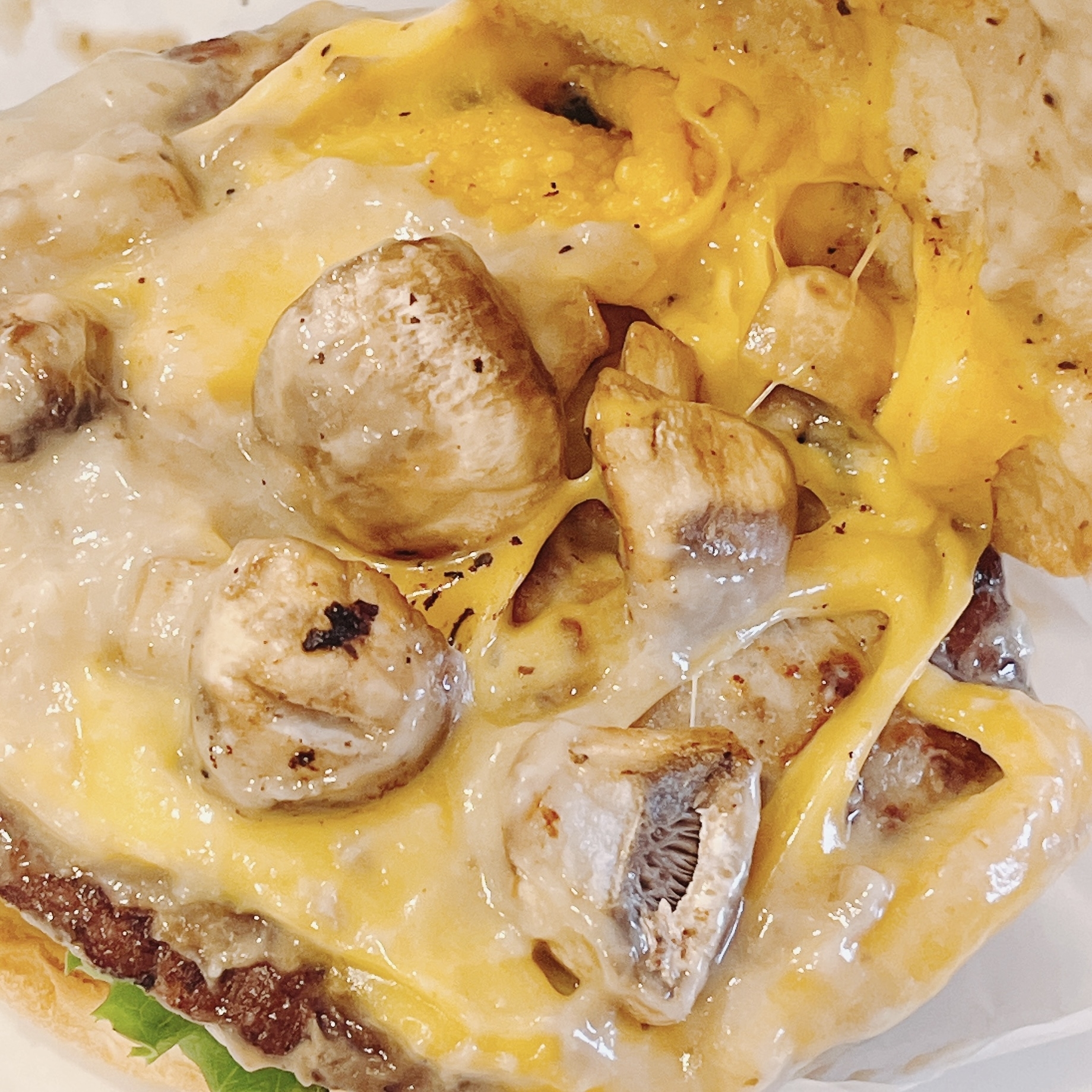 フレッシュネスバーガーのオススメのバーガー「マッシュルームチーズバーガー ~ポルチーニクリームソース~」