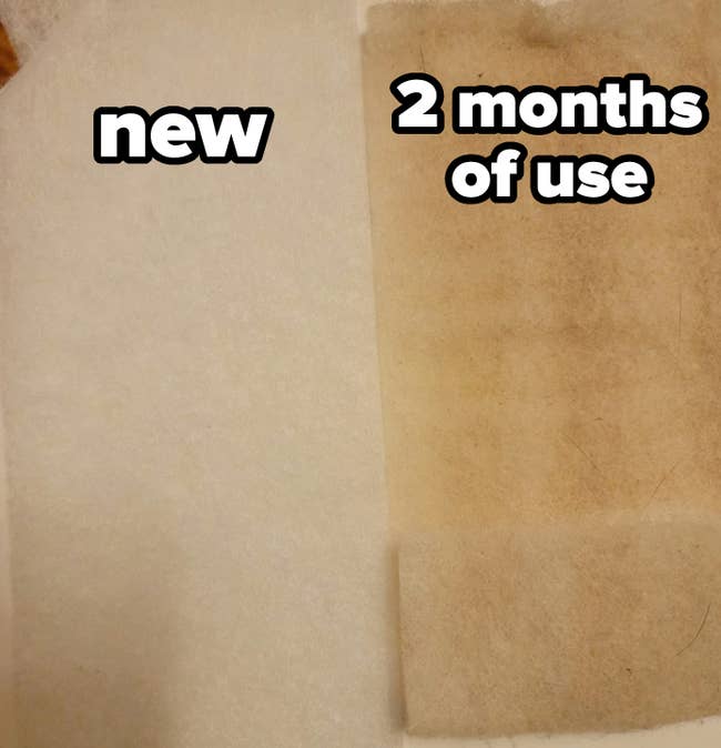 reviewer photo of two filters, one clean and new and one yellowed after two months of use