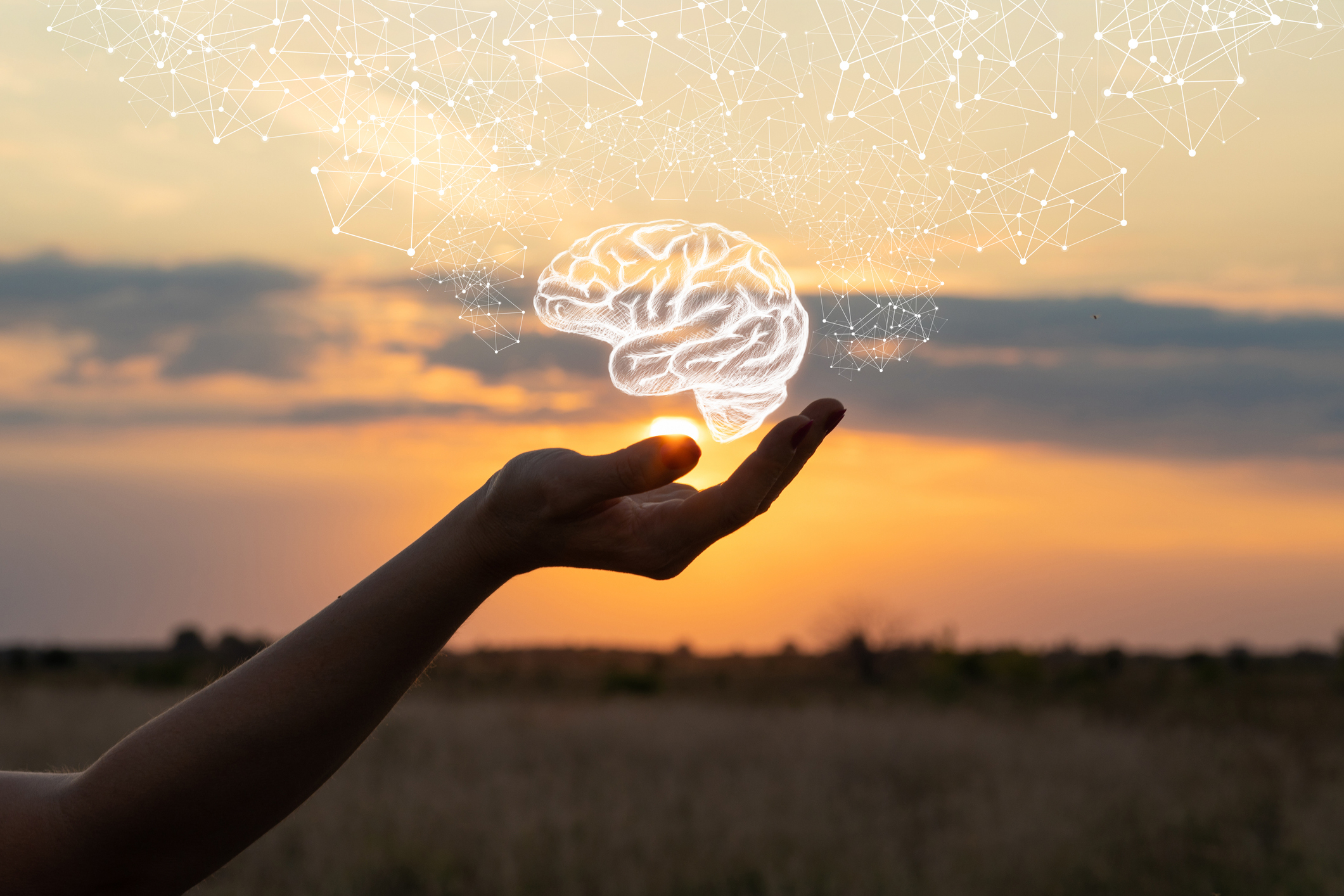 A woman holding a graphic of a brain in her hand while a sun sets in the background