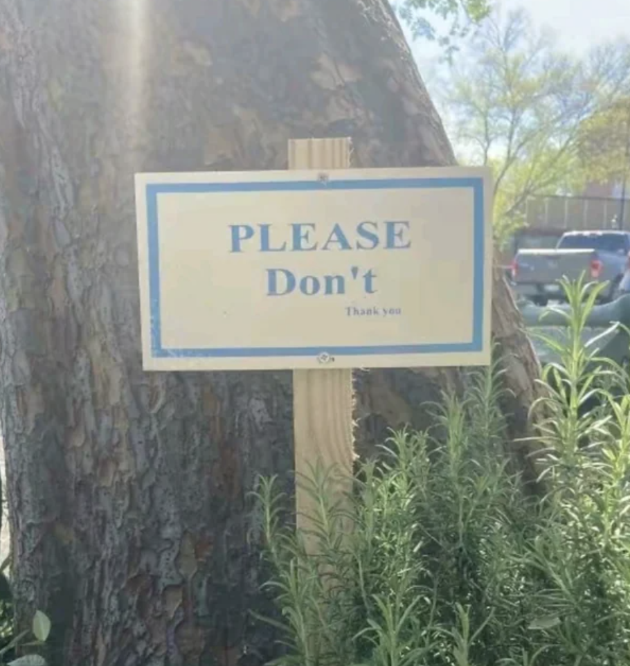 "Please don't"