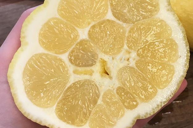 A lemon with many sections in the middle that look like holes