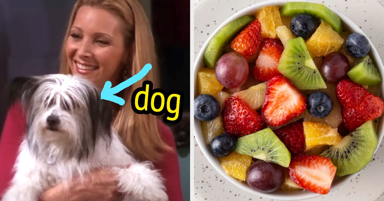 Food Quiz Eat Fruit See What Pet You Should Get