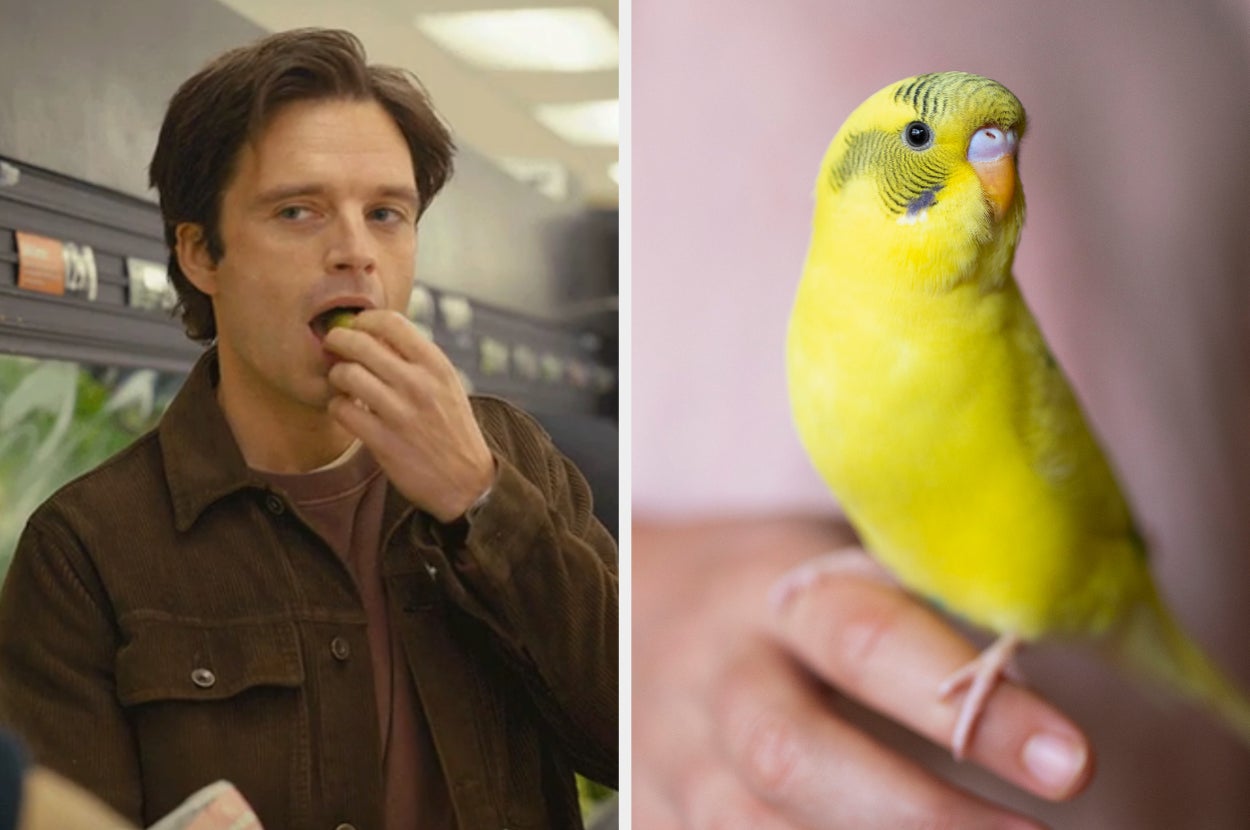 On the left, Sebastian Stan eating a grape as Steve in Fresh, and on the right, a parakeet perched on someone's finger