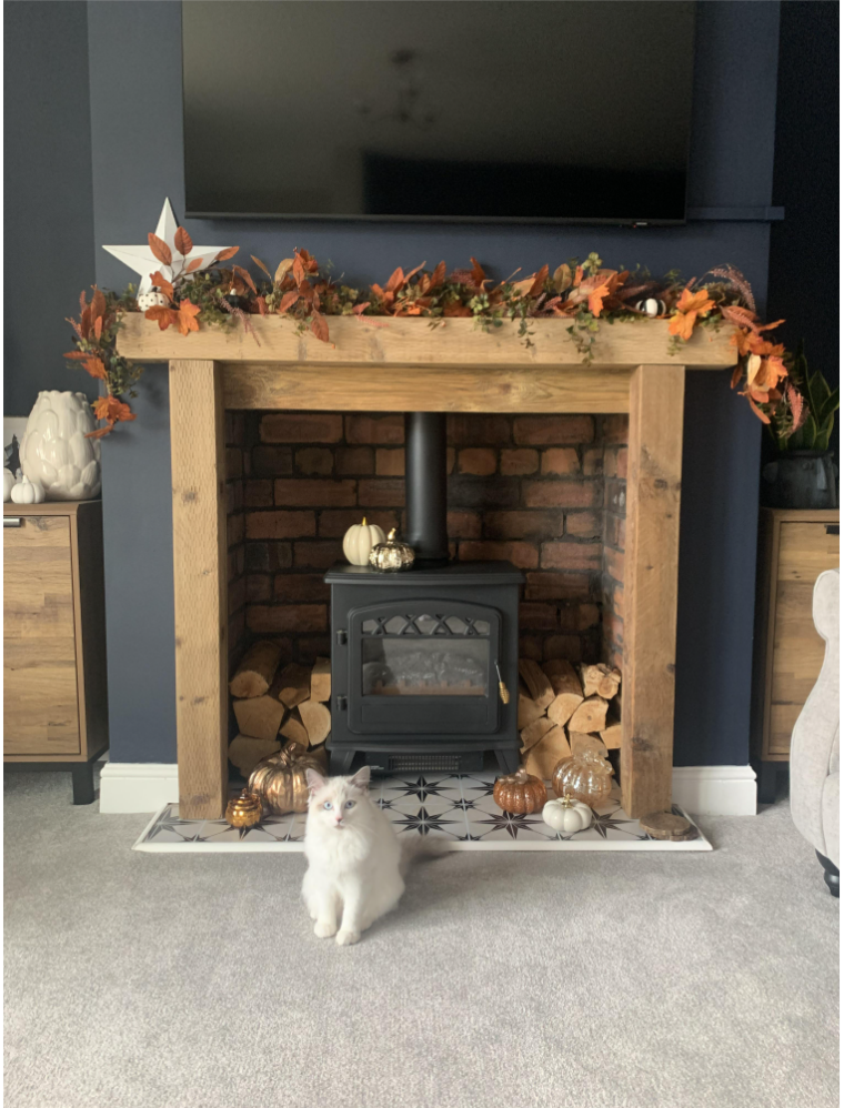 a white cat sitting in front of a fireplace