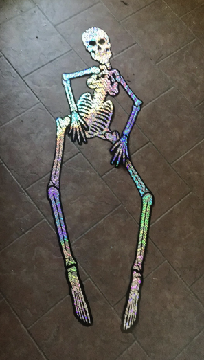 skeletons lungs are put where the pelvis is
