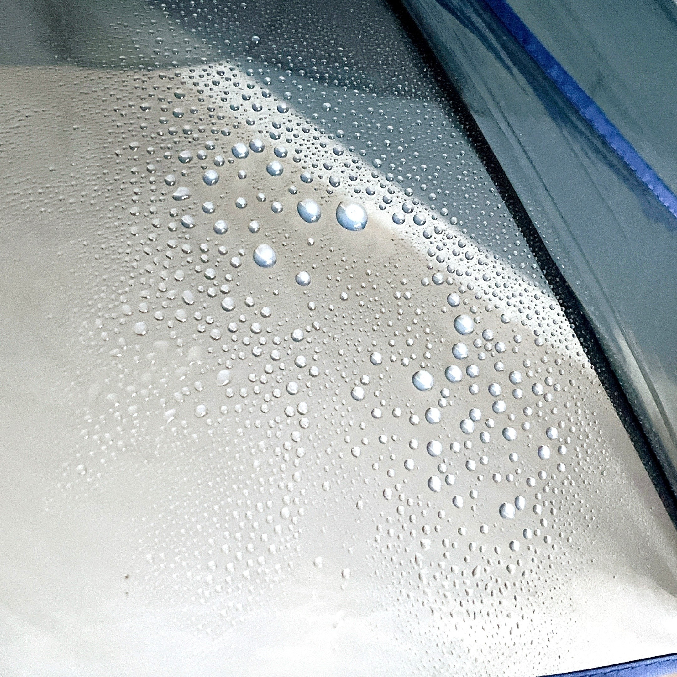 フランフランのオススメの傘「クリアアンブレラ カラーパイピング 長傘 58cm グレー」