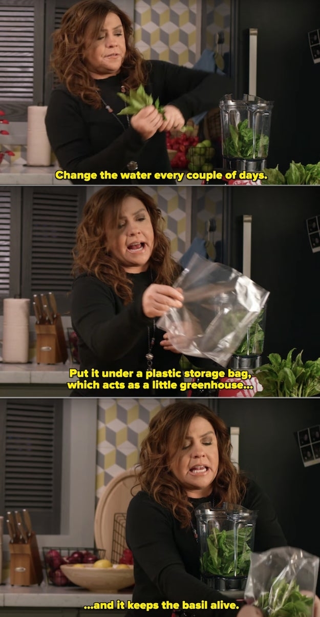Rachael Ray blending basil and other herbs