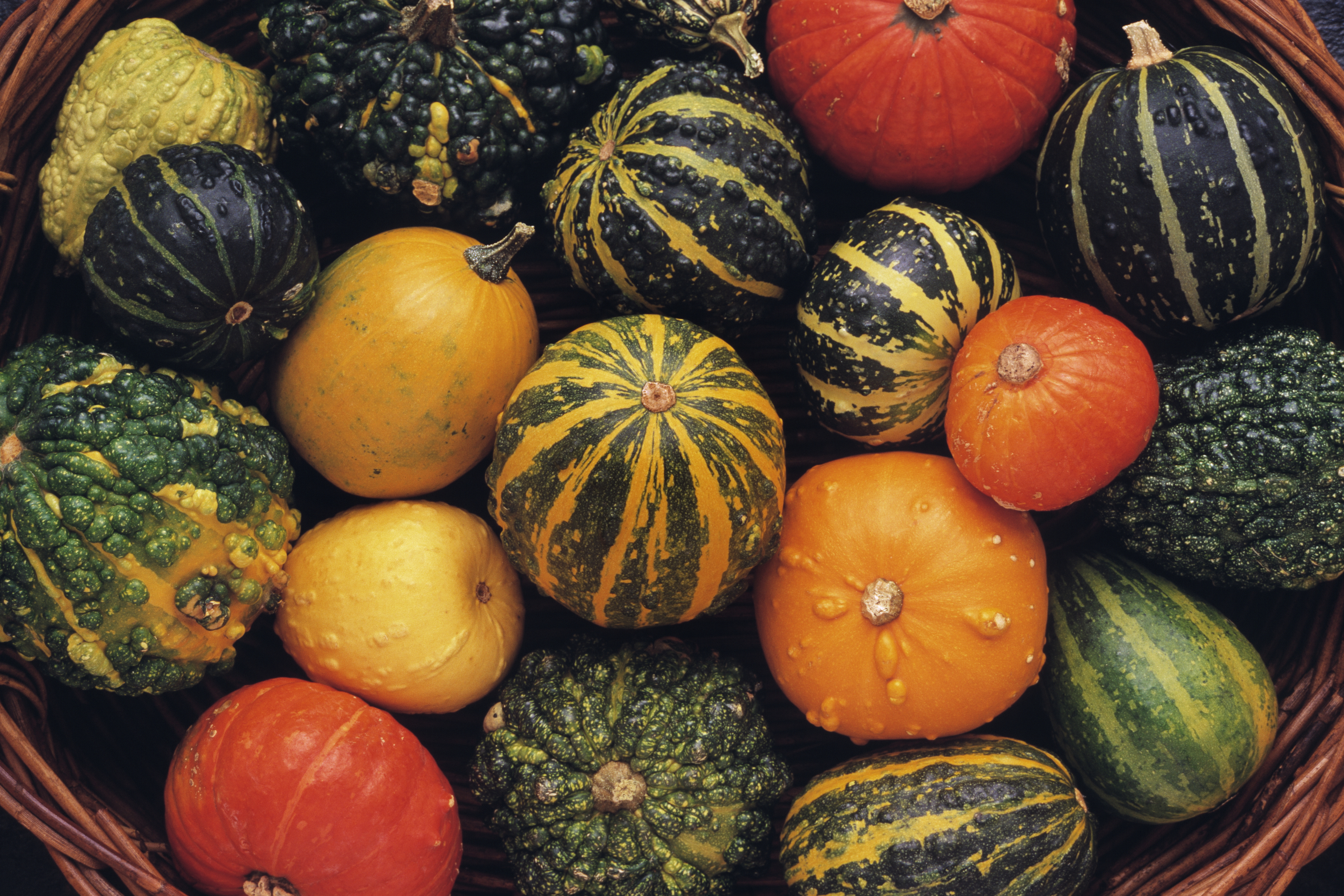 Colorful gourds
