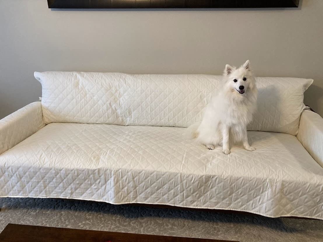 Reviewer image of their dog on their sofa covered with the white cover