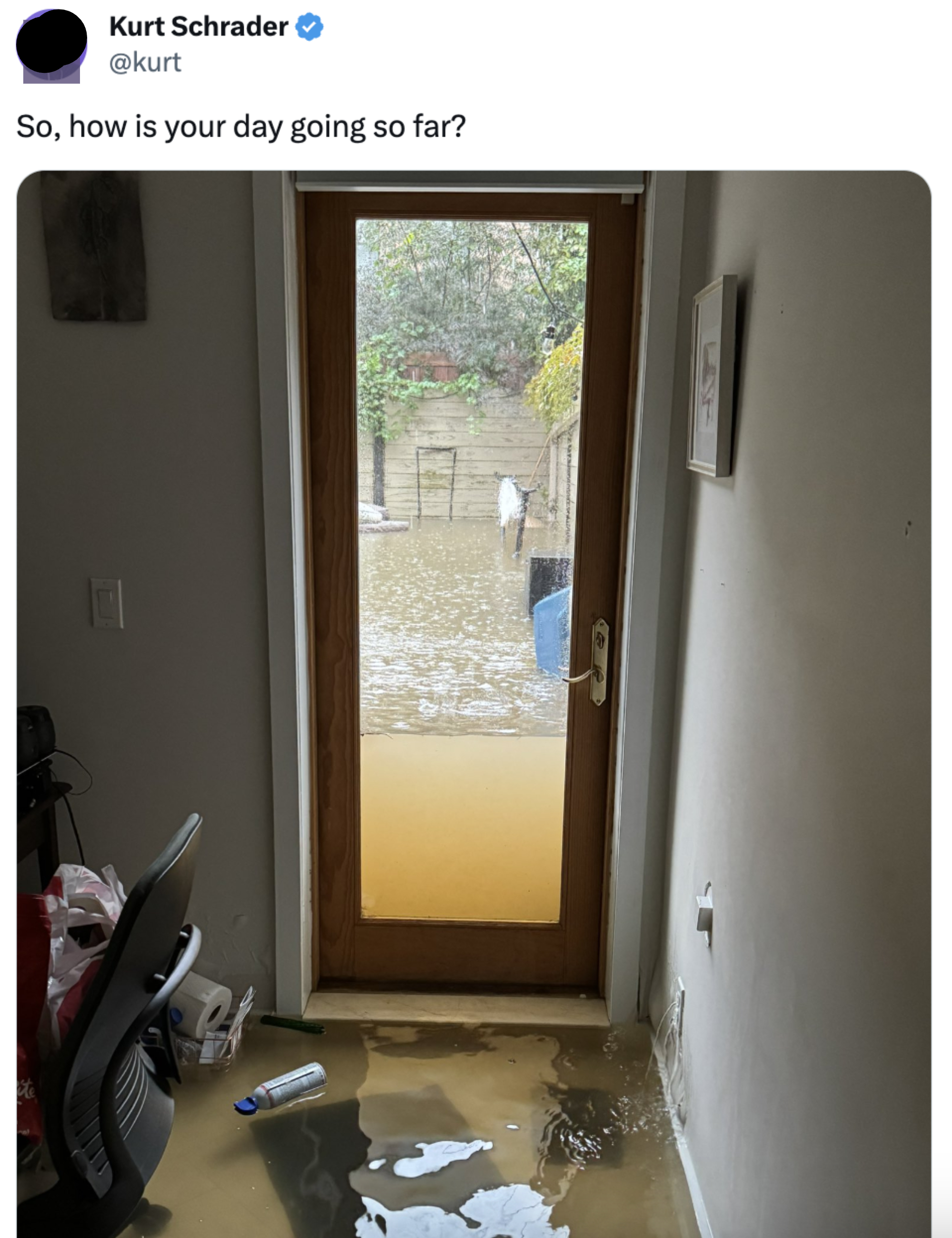 A flooded yard seen through the glass of a front door