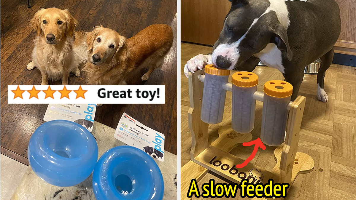 Pet Supplies : Monotre Dog Treat Ball, Interactive Dog Toys Treat