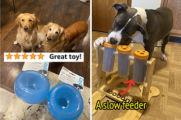 best  dog toys shredders｜TikTok Search