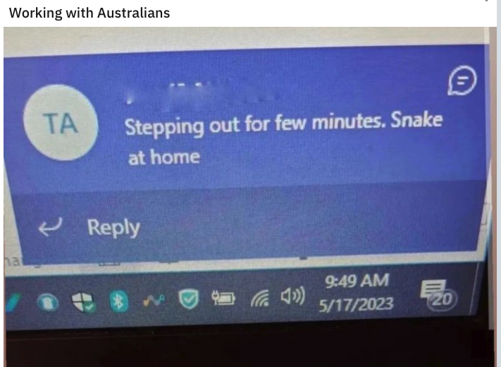 stepping out for a few minutes, snake at home