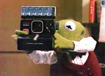 Kermit the Frog taking a photo