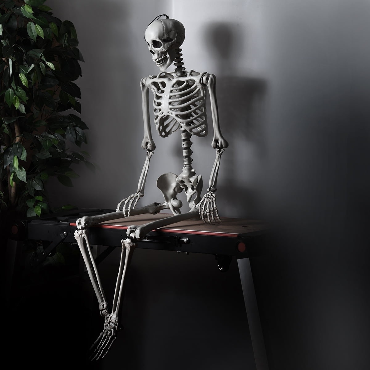 the skeleton sitting on a bench