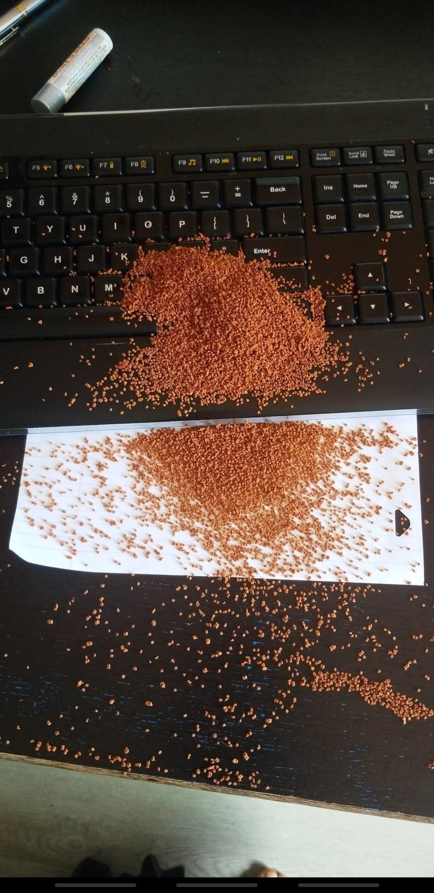&quot;I spilled fish food all over my computer&quot;