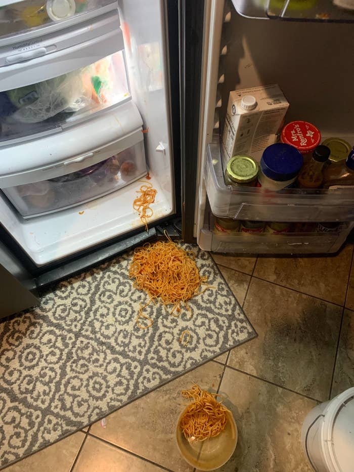 Spilled spaghetti next to a refrigerator