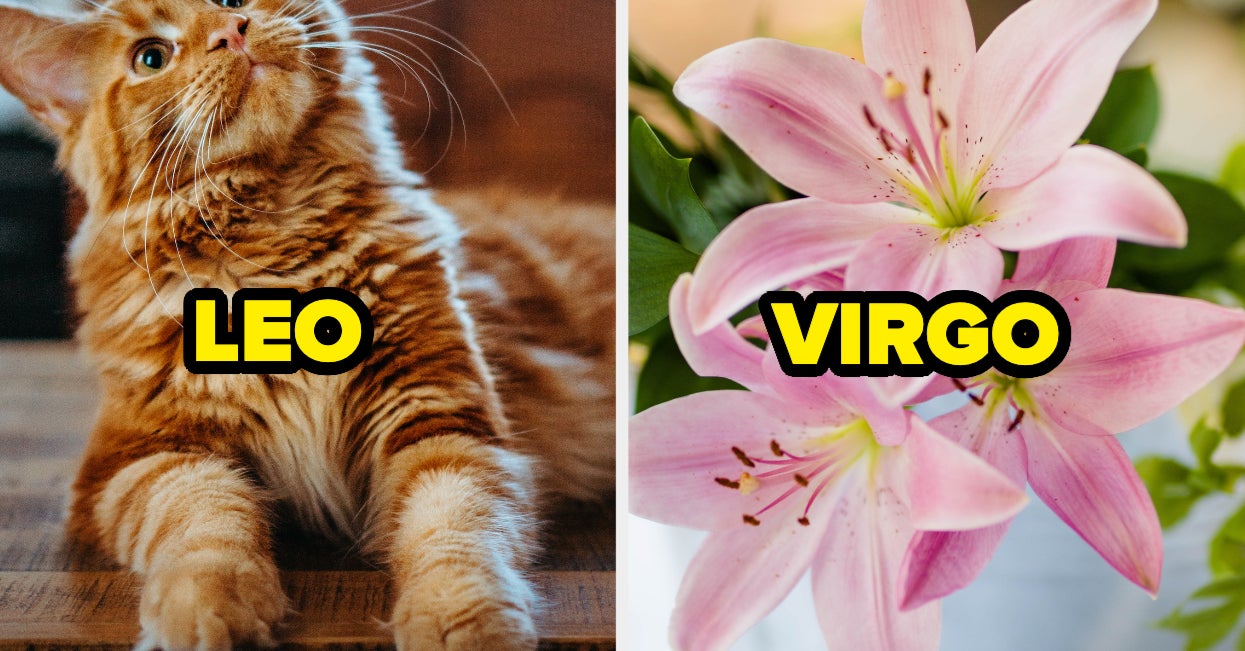 Wait, What's My Zodiac Sign? The Truth About Ophiuchus and Tropical Dates