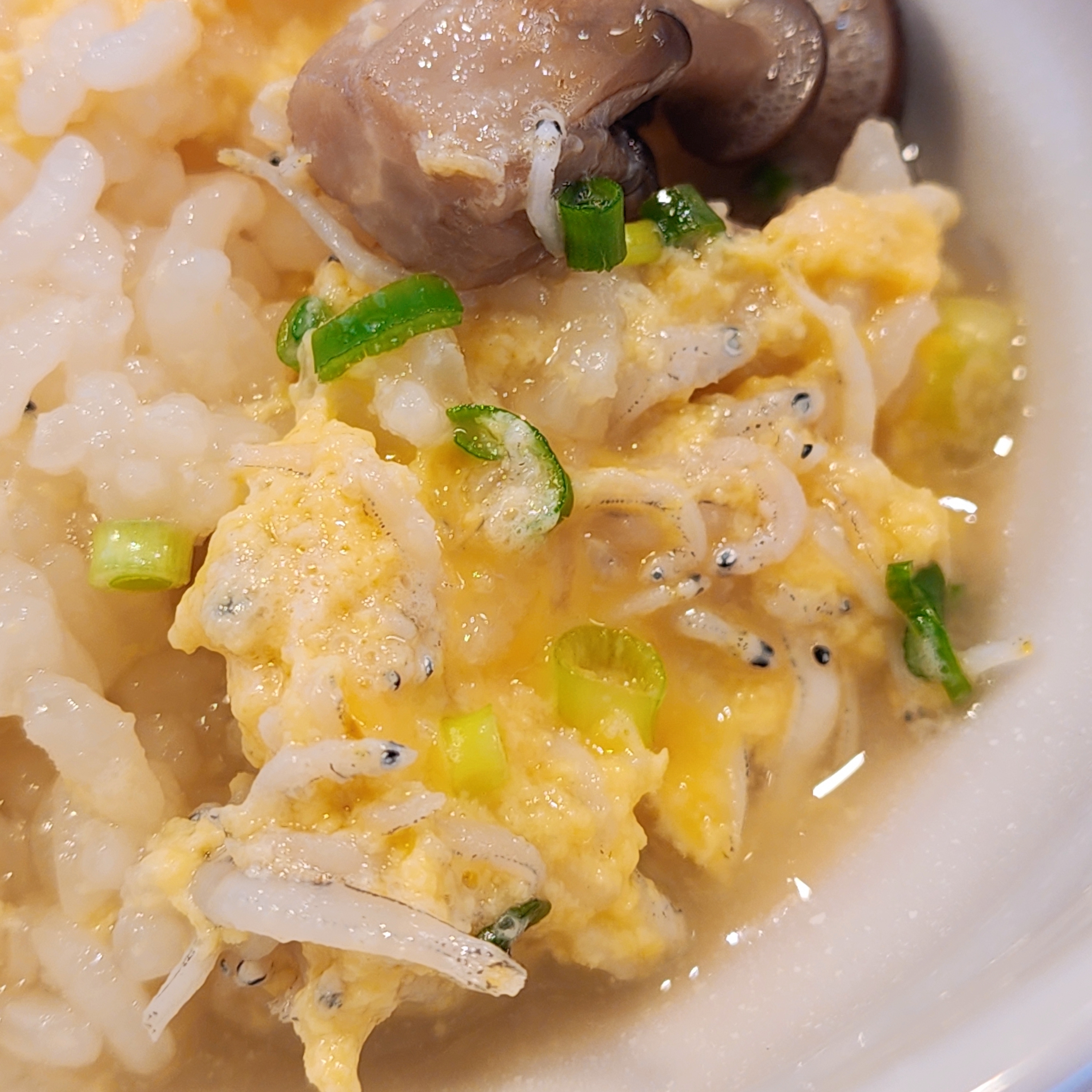 ガストのおすすめモーニング「しらすときのこの雑炊」