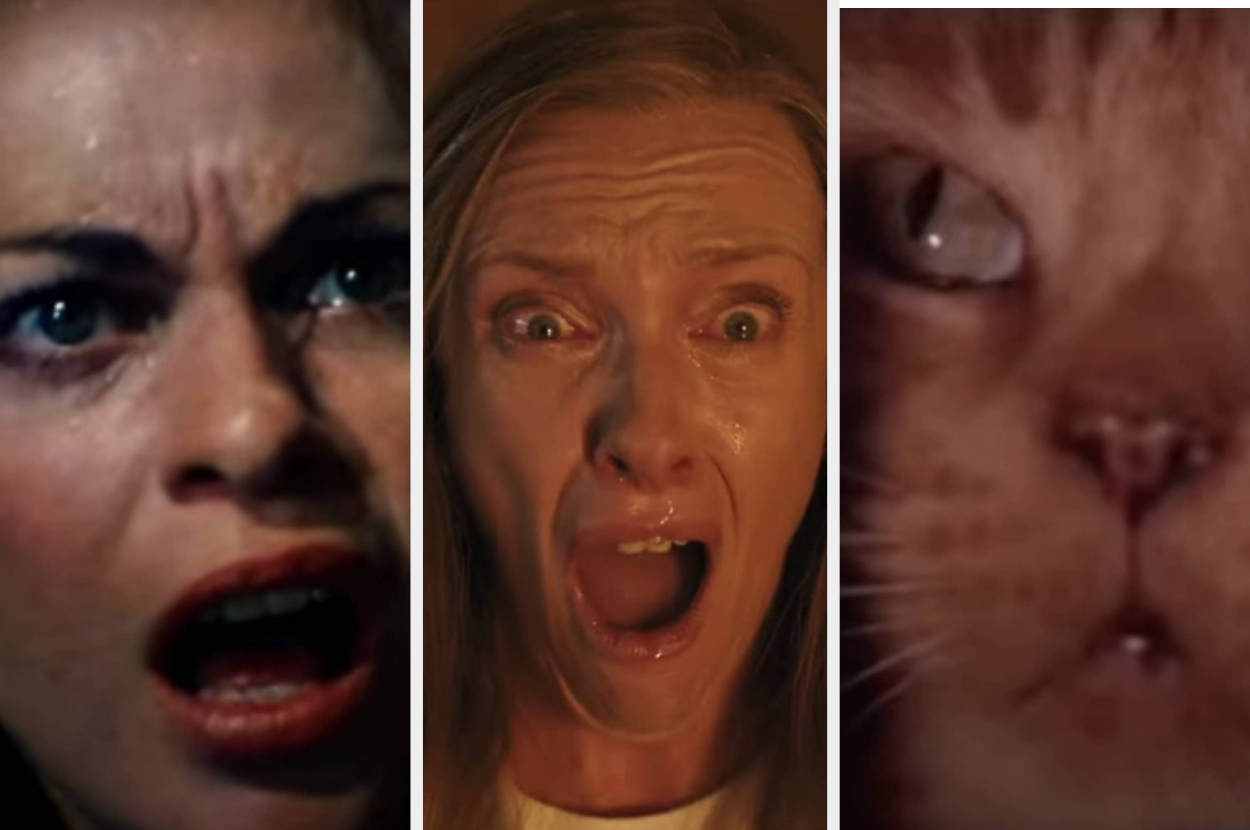 two women screaming and a cat