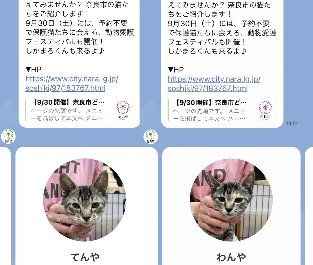 てんやとわんやの飼い主募集（しまだあやさんが紹介した奈良市公式LINEより）