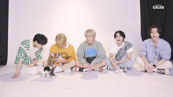 WayV sitting and holding puppies