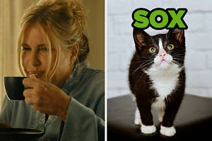 On the left, Jennifer Coolidge drinking coffee as Tanya on The White Lotus, and on the right, a tuxedo kitten with Sox typed above their head