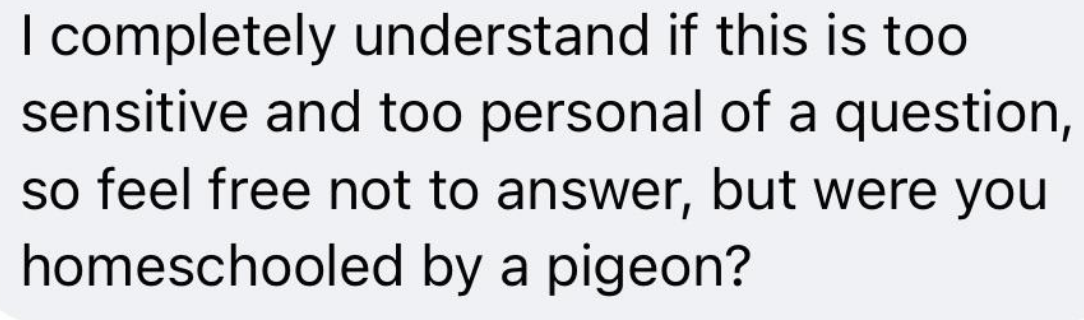 &quot;I completely understand if this is too sensitive or too personal of a question, so feel free not to answer, but were you homeschooled by a pigeon?&quot;