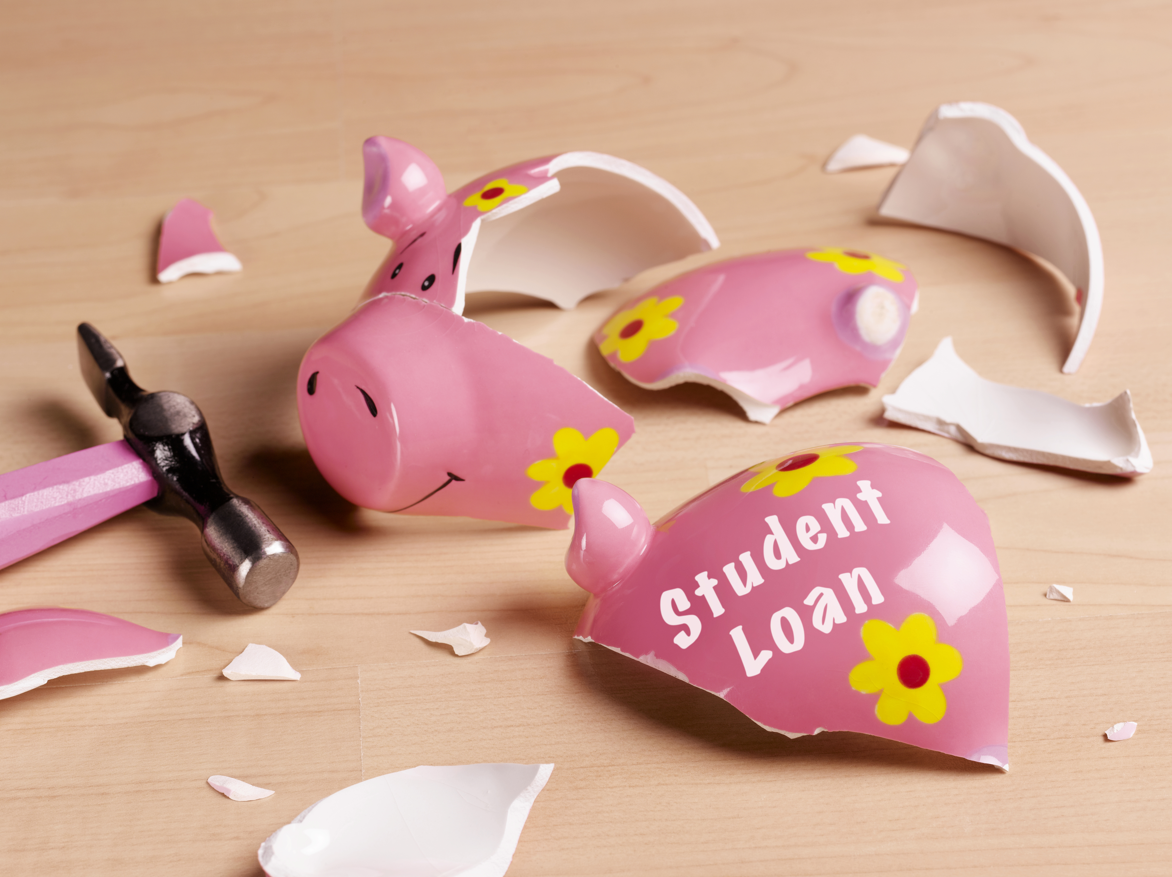 Broken empty piggy bank labeled &quot;Student Loan&quot;
