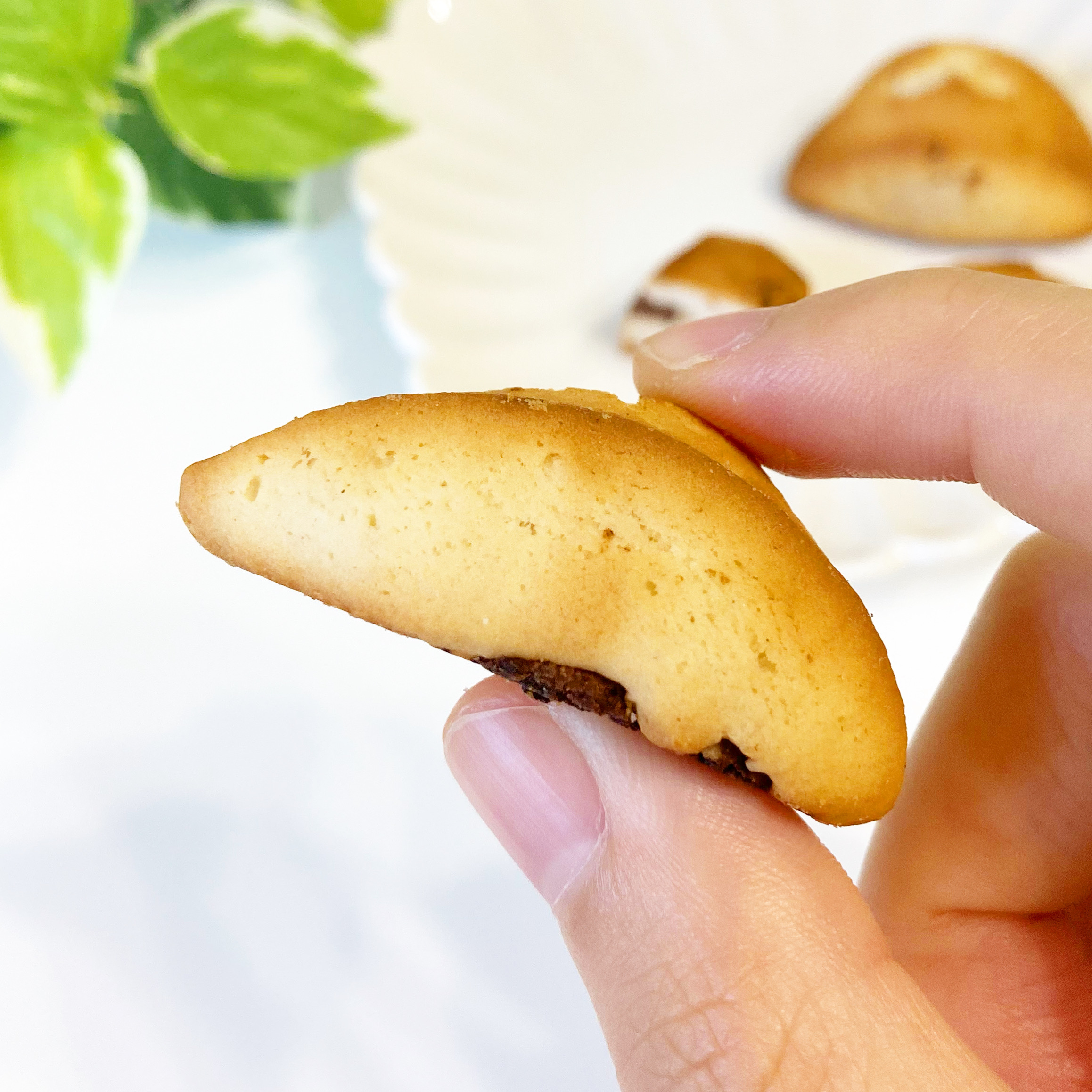 セブン-イレブンのおすすめおやつ「7プレミアム チョコチャンクスコーン」