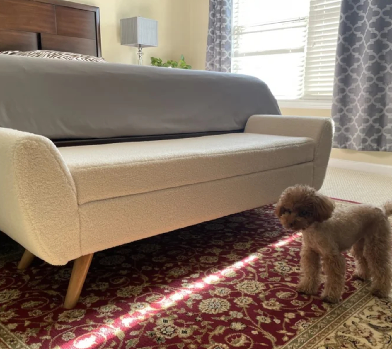 a storage bench at the foot of a bed with a dog