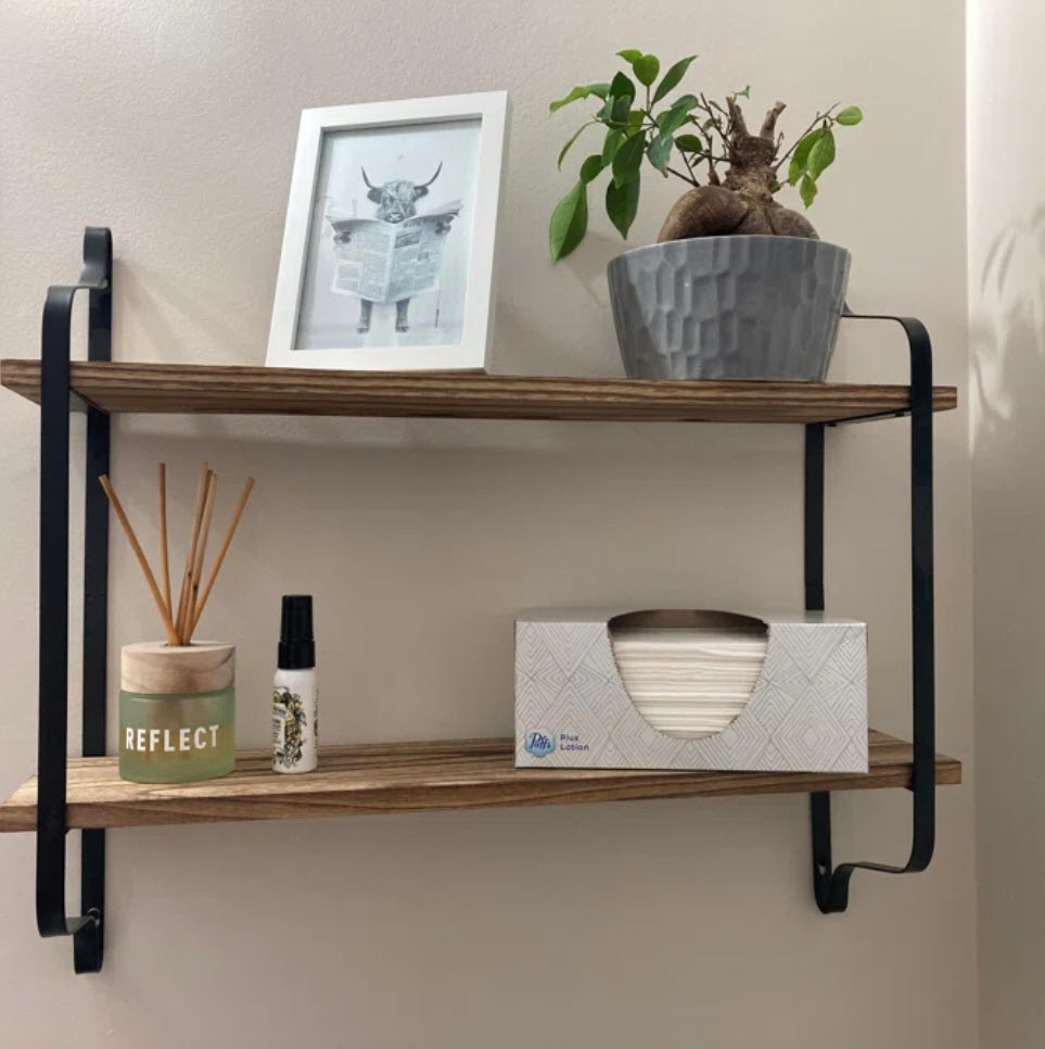 two tiered wall shelf with plants, decor and tissues