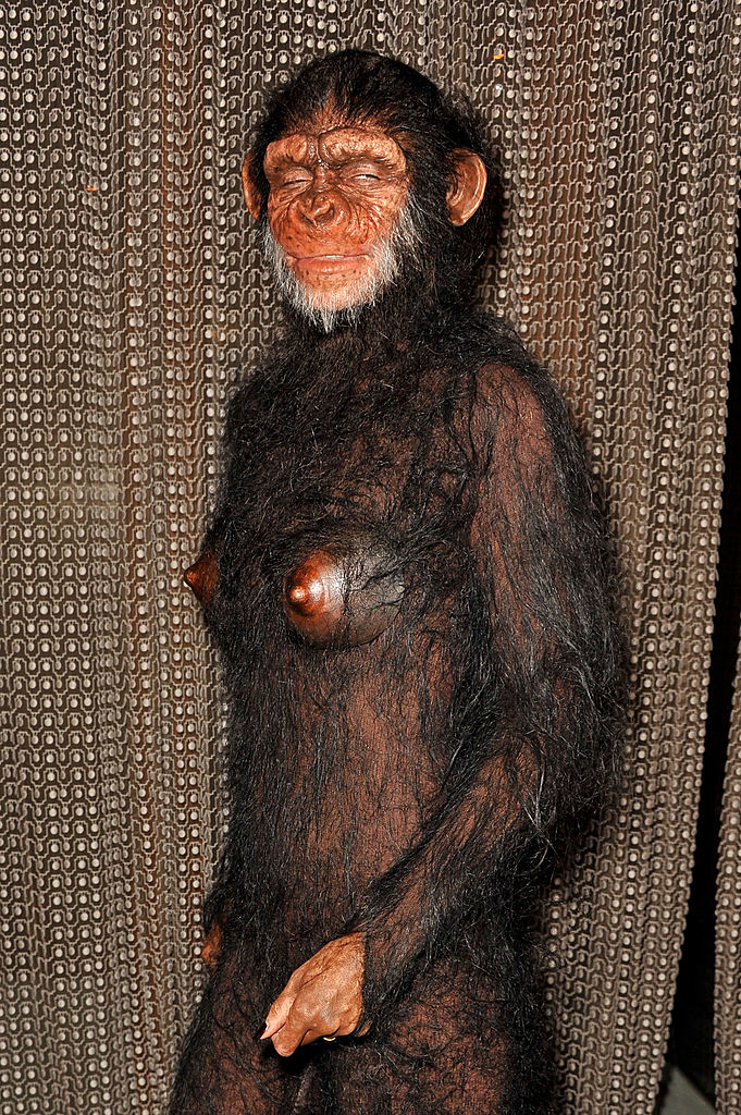 Heidi as an ape
