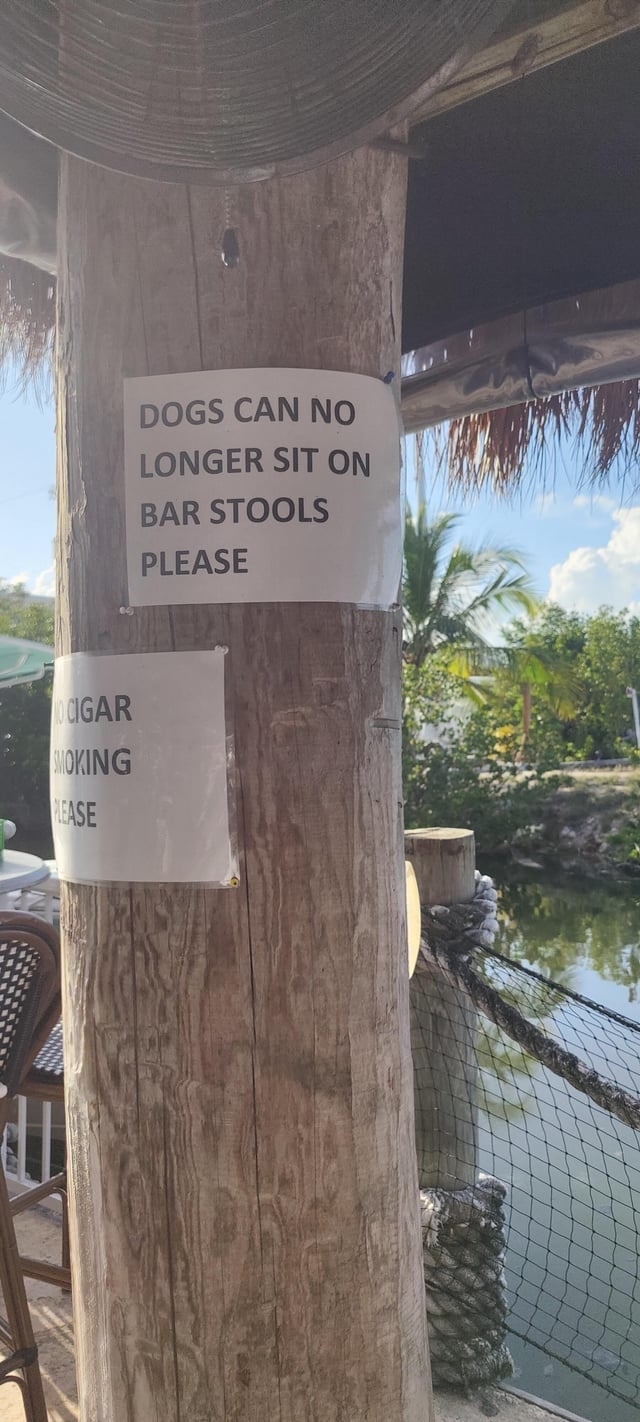 dogs can no longer sit on bar stools please