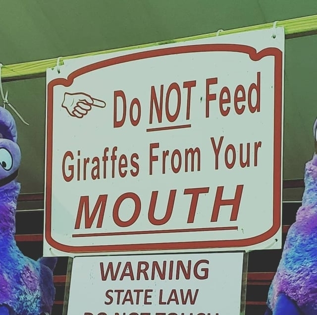 do not feed giraffes from your mouth