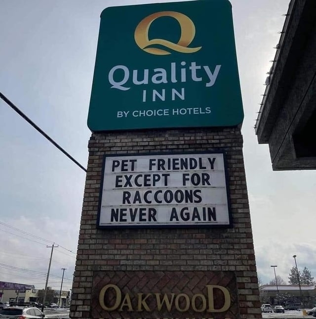 hotel marquee says, pet friendly except raccoons, never again