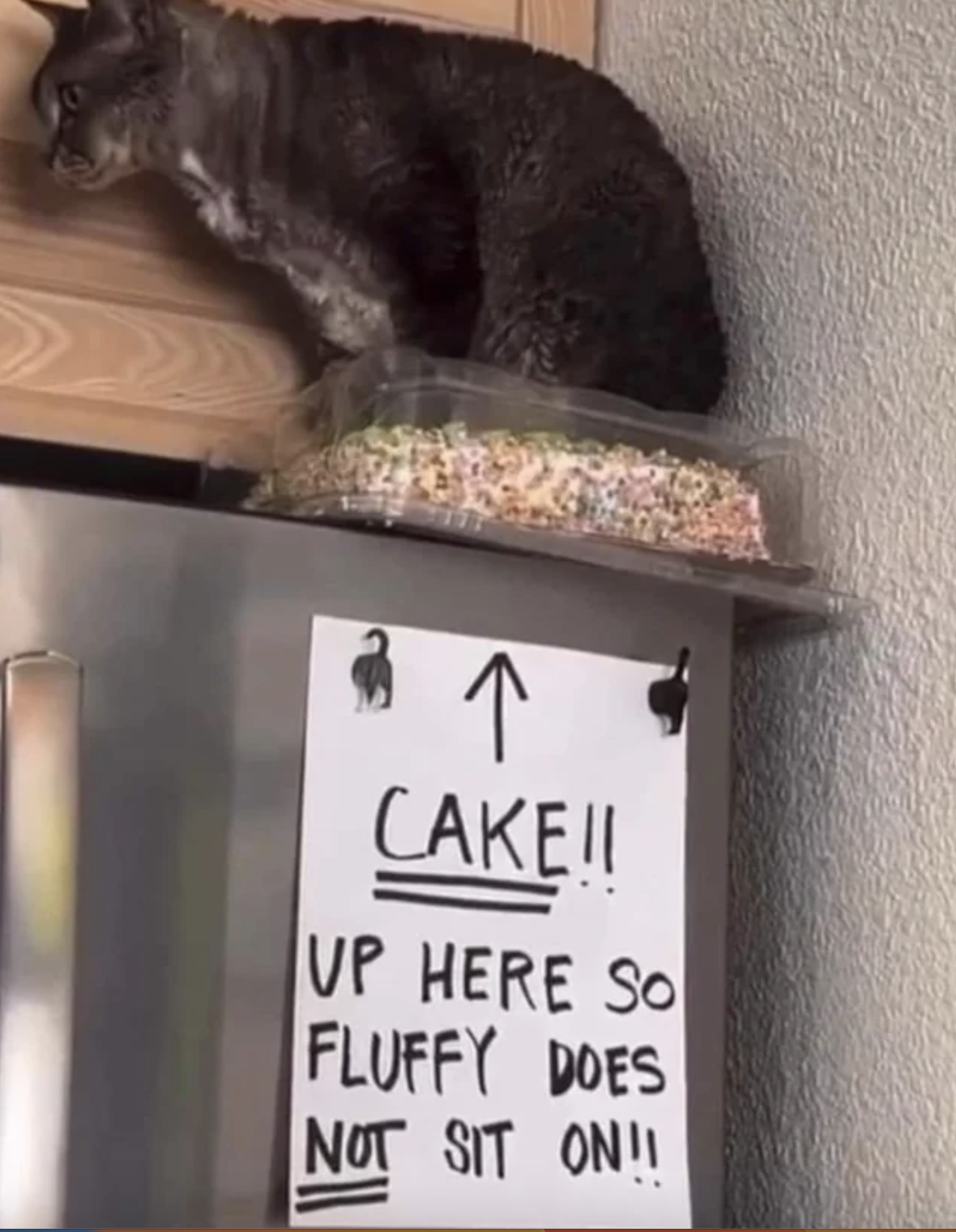 cat on top of a cake that&#x27;s on top of the fridge with a note that says, cake up here so fluffy does not sit on